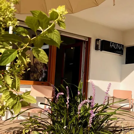 Boutique By K A M E L U