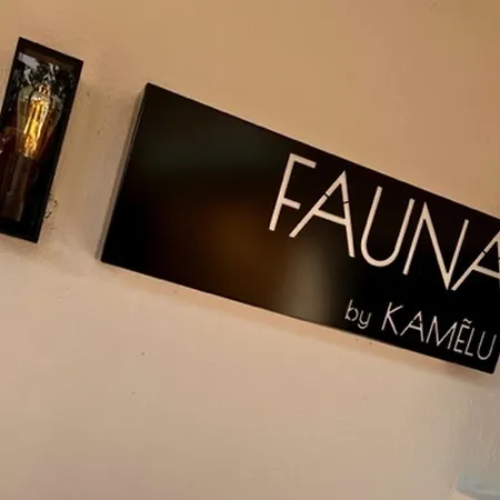 Boutique By K A M E L U Gæstehus Gengenbach