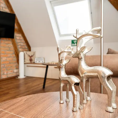 招待所 Boutique By K A M E L U 哥根巴赫