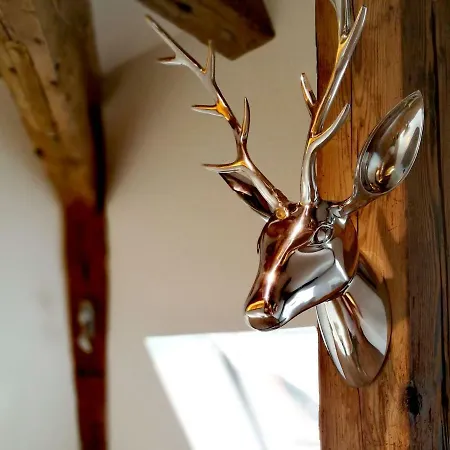 Boutique By K A M E L U