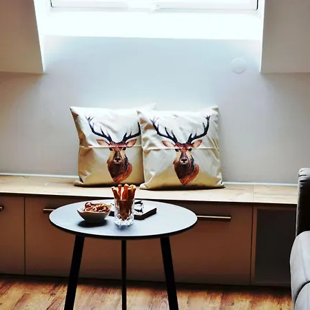 Apartment Roser *